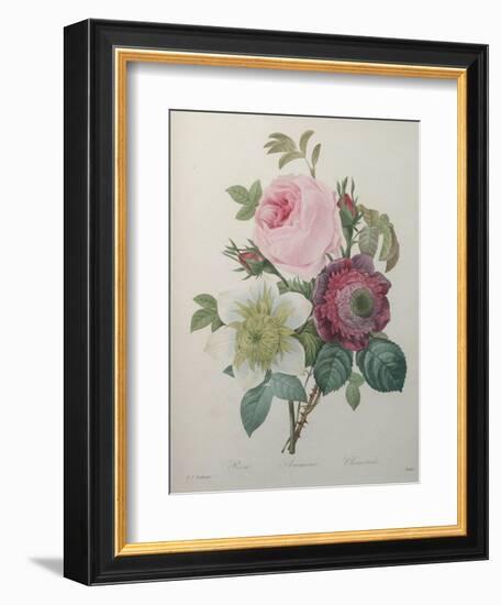 Rose, Anemone and Clematis-Pierre-Joseph Redoute-Framed Art Print