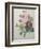 Rose, Anemone and Clematis-Pierre-Joseph Redoute-Framed Premium Giclee Print