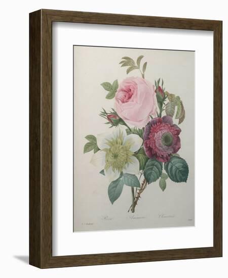 Rose, Anemone and Clematis-Pierre-Joseph Redoute-Framed Premium Giclee Print