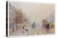 Stretched Canvas Print