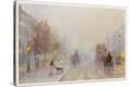 Stretched Canvas Print