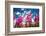 Rose bay willowherb flowering in the Lyth Valley, England-Ashley Cooper-Framed Photographic Print