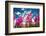 Rose bay willowherb flowering in the Lyth Valley, England-Ashley Cooper-Framed Photographic Print