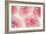 Rose Begonia Flowers-Cora Niele-Framed Photographic Print