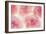 Rose Begonia Flowers-Cora Niele-Framed Photographic Print