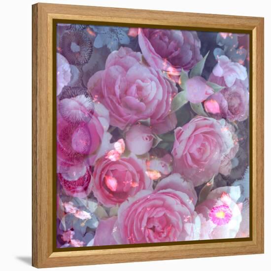 Rose Blossom with Other Flowers-Alaya Gadeh-Framed Premier Image Canvas