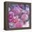 Rose Blossom with Other Flowers-Alaya Gadeh-Framed Premier Image Canvas