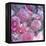 Rose Blossom with Other Flowers-Alaya Gadeh-Framed Premier Image Canvas