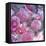 Rose Blossom with Other Flowers-Alaya Gadeh-Framed Premier Image Canvas