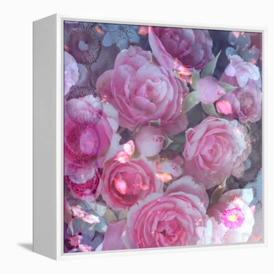 Rose Blossom with Other Flowers-Alaya Gadeh-Framed Premier Image Canvas