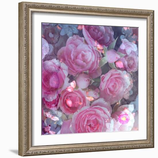 Rose Blossom with Other Flowers-Alaya Gadeh-Framed Photographic Print