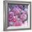 Rose Blossom with Other Flowers-Alaya Gadeh-Framed Photographic Print