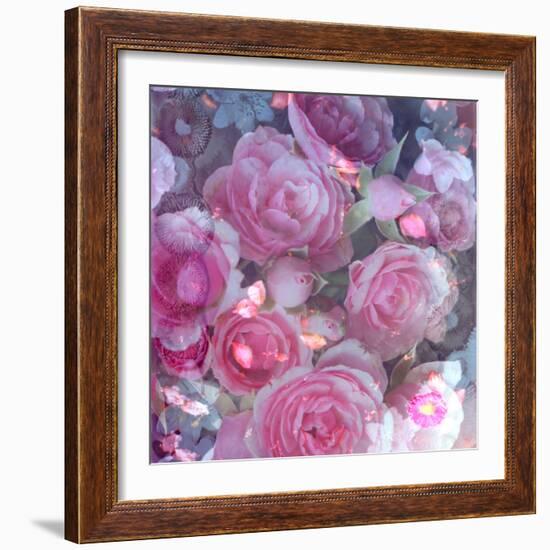 Rose Blossom with Other Flowers-Alaya Gadeh-Framed Photographic Print