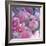 Rose Blossom with Other Flowers-Alaya Gadeh-Framed Photographic Print