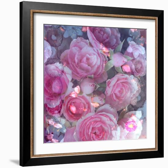 Rose Blossom with Other Flowers-Alaya Gadeh-Framed Photographic Print