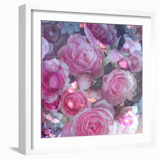 Rose Blossom with Other Flowers-Alaya Gadeh-Framed Photographic Print