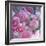 Rose Blossom with Other Flowers-Alaya Gadeh-Framed Photographic Print