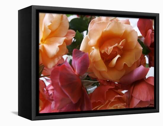 Rose Bouquet Close Up I-Nicole Katano-Framed Stretched Canvas