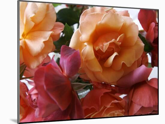 Rose Bouquet Close Up I-Nicole Katano-Mounted Photo