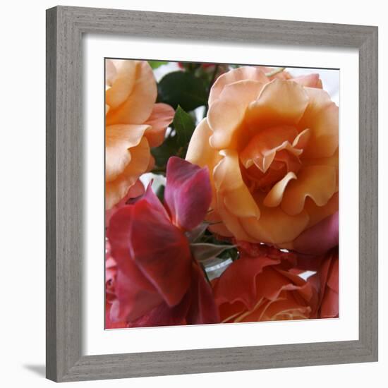 Rose Bouquet Close Up II-Nicole Katano-Framed Photo