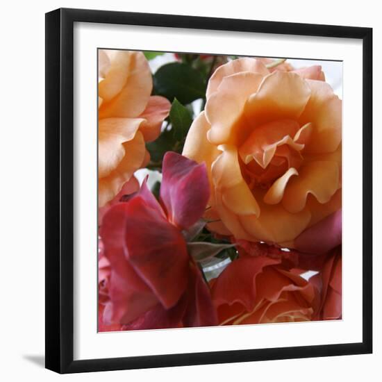 Rose Bouquet Close Up II-Nicole Katano-Framed Photo