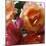 Rose Bouquet Close Up II-Nicole Katano-Mounted Photo