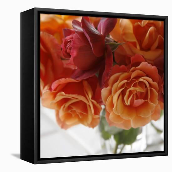 Rose Bouquet I-Nicole Katano-Framed Stretched Canvas