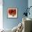 Rose Bouquet I-Nicole Katano-Framed Photo displayed on a wall