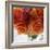 Rose Bouquet I-Nicole Katano-Framed Photo