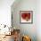 Rose Bouquet I-Nicole Katano-Framed Photo displayed on a wall