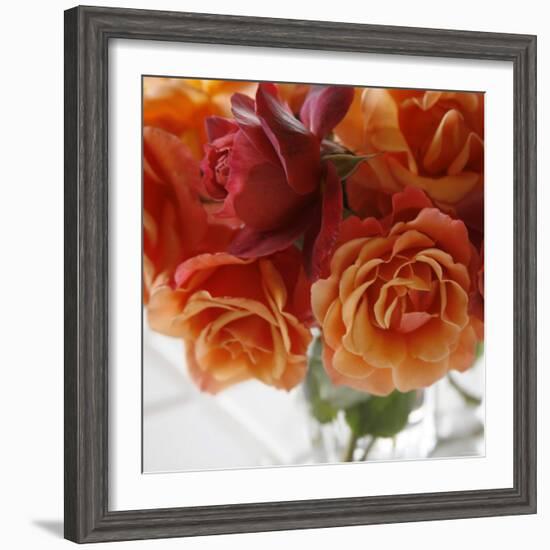 Rose Bouquet I-Nicole Katano-Framed Photo