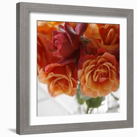 Rose Bouquet I-Nicole Katano-Framed Photo