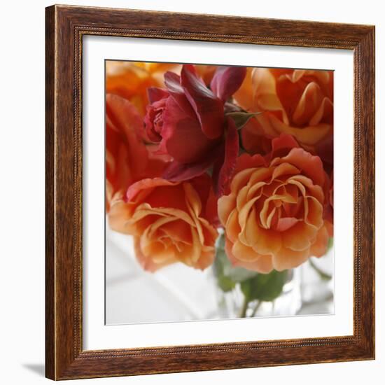 Rose Bouquet I-Nicole Katano-Framed Photo