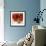 Rose Bouquet I-Nicole Katano-Framed Photo displayed on a wall