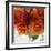 Rose Bouquet I-Nicole Katano-Framed Photo