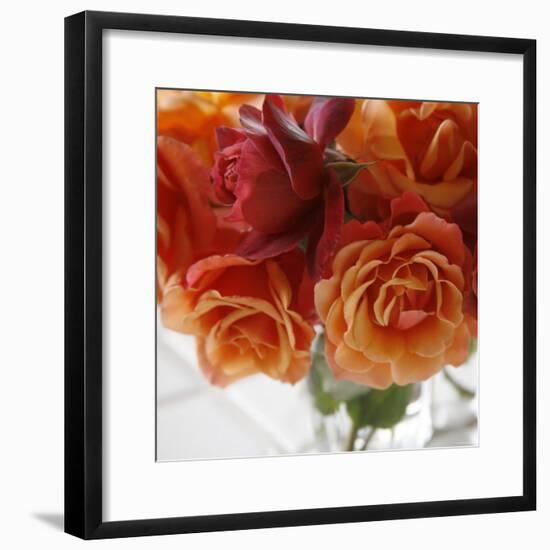 Rose Bouquet I-Nicole Katano-Framed Photo