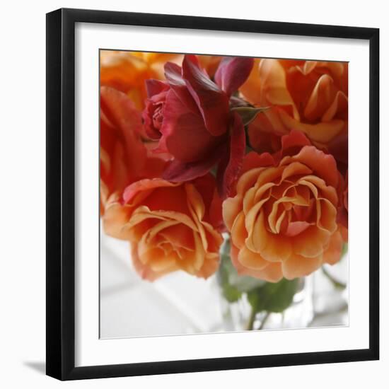 Rose Bouquet I-Nicole Katano-Framed Photo