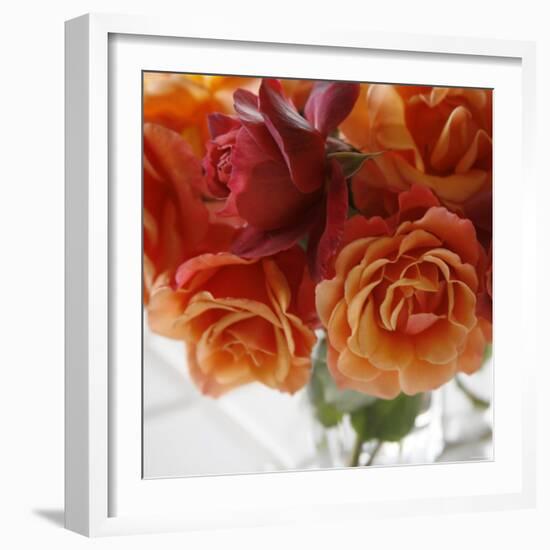 Rose Bouquet I-Nicole Katano-Framed Photo