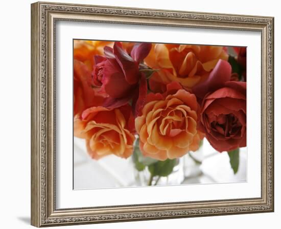 Rose Bouquet II-Nicole Katano-Framed Photo