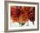 Rose Bouquet II-Nicole Katano-Framed Photo