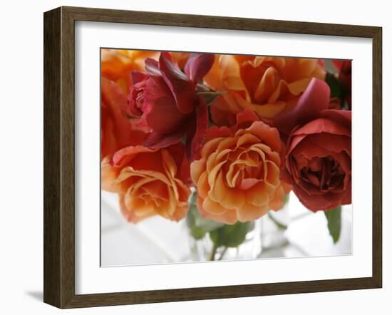 Rose Bouquet II-Nicole Katano-Framed Photo