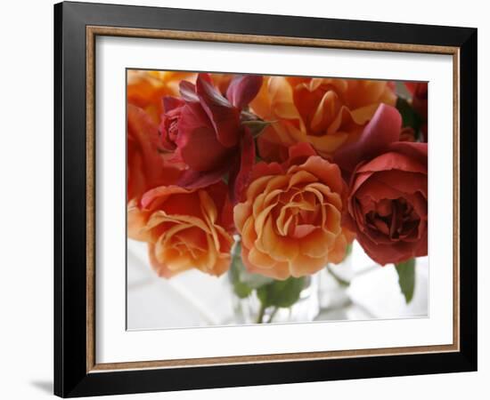 Rose Bouquet II-Nicole Katano-Framed Photo