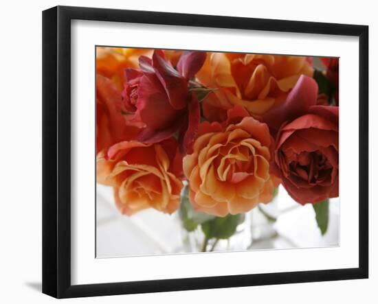 Rose Bouquet II-Nicole Katano-Framed Photo