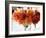 Rose Bouquet IV-Nicole Katano-Framed Photo