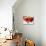 Rose Bouquet IV-Nicole Katano-Mounted Photo displayed on a wall