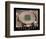 Rose Bowl Women's Soccer Championships July 10, c.1999 Sports-Mike Smith-Framed Art Print