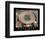 Rose Bowl Women's Soccer Championships July 10, c.1999 Sports-Mike Smith-Framed Art Print