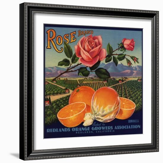 Rose Brand - Redlands, California - Citrus Crate Label-Lantern Press-Framed Art Print