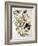 Rose-Breasted Grosbeak from "Birds of America"-John James Audubon-Framed Giclee Print