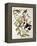 Rose-Breasted Grosbeak from "Birds of America"-John James Audubon-Framed Premier Image Canvas